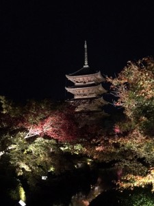 IMG_0351